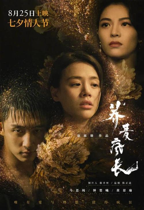 巴黎第四大学市场开发文凭证书